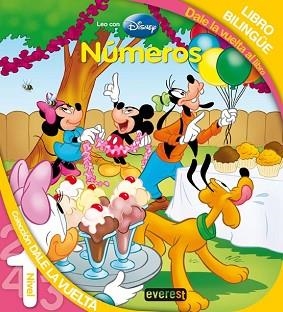 NUMEROS / NUMBERS LIBRO BILINGÜE | 9788444145419 | VV.AA.