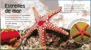 BERNAT ERMITA I ALTRES CRIATURES | 9788499132716 | TODOLIBRO, EQUIPO