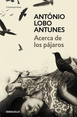 ACERCA DE LOS PÁJAROS | 9788483469163 | LOBO ANTUNES,ANTONIO