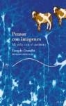 PENSAR CON IMAGENES ( MI VIDA CON EL AUTISMO ) | 9788484283065 | GRANDIN, TEMPLE