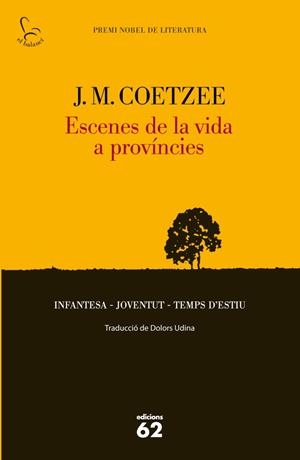 ESCENES DE LA VIDA A PROVÍNCIES | 9788429769869 | J. M. COETZEE