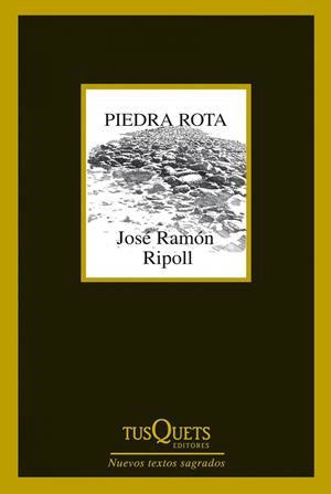 PIEDRA ROTA | 9788483834787 | JOSÉ RAMÓN RIPOLL