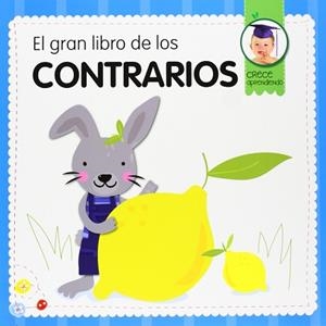 EL GRAN LIBRO DE LOS CONTRARIOS | 9788492882908 | DANSA, MARTA