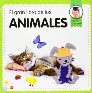 EL GRAN LIBRO DE LOS ANIMALES | 9788492882892 | DANSA, MARTA