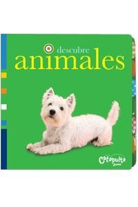 DESCUBRE ANIMALES | 9789876370806 | AA.VV.
