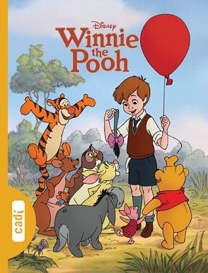 WINNIE THE POOH. AQUÍ HI FALTA ALGUNA COSA! | 9788447460878 | WALT DISNEY COMPANY