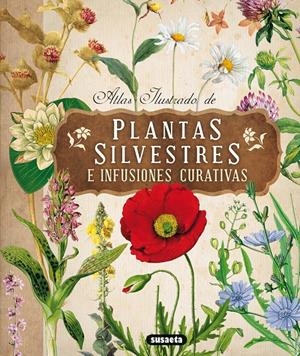 ATLAS ILUSTRADO DE PLANTAS SILVESTRES E INFUSIONES CURATIVAS | 9788467722864 | TOMANOVÁ, ELISKA