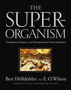 THE SUPERORGANISM | 9780393067040 | BERT HÖLLDOBLER, EDWARD O. WILSON