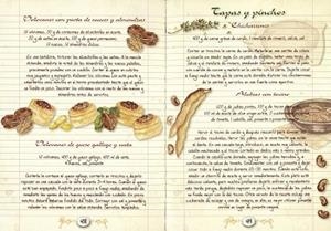 APERITIVOS, TOSTADAS Y TOSTAS | 9788415401179 | MANCINI, PAOLA / ZANONCELLI, ANASTASIA