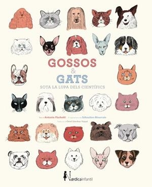GOSSOS I GATS SOTA LA LUPA DELS CIENTÍFICS | 9788416830176 | ANTONIO FISCHETTI