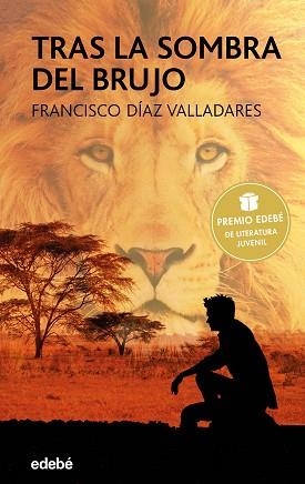 TRAS LA SOMBRE DEL BRUJO | 9788468332741 | DÍAZ VALLADARES, FRANCISCO