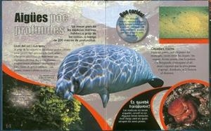 OCEANS | 9788499132235 | TODOLIBRO, EQUIPO