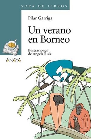 VERANO EN BORNEO UN | 9788466784283 | GARRIGA, PILAR