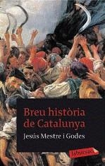 BREU HISTORIA DE CATALUNYA | 9788499301457 | MESTRE GODES, JESUS
