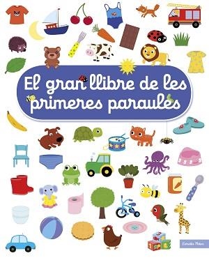 GRAN LLIBRE DE LES PRIMERES PARAULES | 9788491377900 | CHOUX, NATHALIE