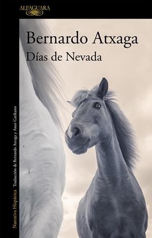DÍAS DE NEVADA | 9788420415987 | ATXAGA, BERNARDO