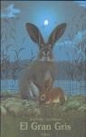 EL GRAN GRIS | 9788489804807 | STEINER, JÖRG