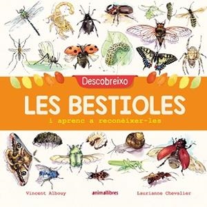 DESCOBREIXO LES BESTIOLES I APRENC A RECONÈIXER-LES | 9788417599201 | ALBOUY, VINCENT