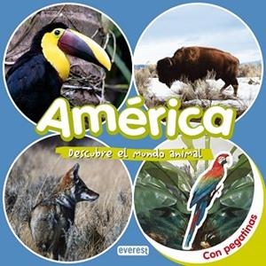 AMERICA DESCUBRE EL MUNDO ANIMAL | 9788424116613 | EVEREST