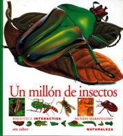 UN MILLON DE INSECTOS | 9788434852051 | ALBOUY, VICENT / SAIRIGNÉ-BON, CATHERINE DE