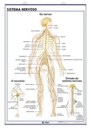 ES LEGAL EL MATRIMONIO Y OTRAS CUESTIONES SINGULARES | 9788496953079 | HERBERT, A.P