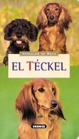 TECKEL EL | 9788430595464 | MARIE-LUCE HUBERT Y JEAN-LOUIS KLEIN