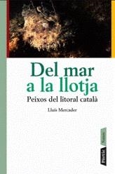 DEL MAR A LA LLOTJA ( PEIXOS DEL LITORAL CATALA ) | 9788498090505 | MERCADER, LLUIS
