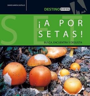 A POR SETAS BUSCA ENCUENTRA Y DEGUSTA | 9788424105198 | GARCIA CASTILLO, DAVID