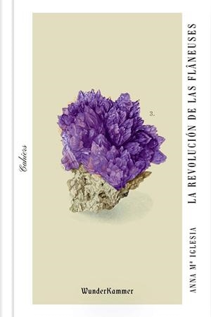 LA REVOLUCIÓN DE LAS FLANEUSES | 9788494972539 | IGLESIA PAGNOTTA, ANNA Mª