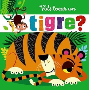 VOLS TOCAR UN TIGRE? | 9788499062624 | AA.VV