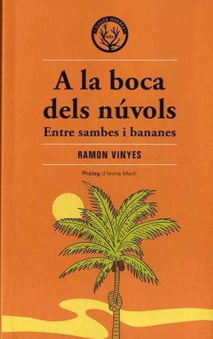 A LA BOCA DELS NÚVOLS | 9788412316582 | VINYES CLUET, RAMON
