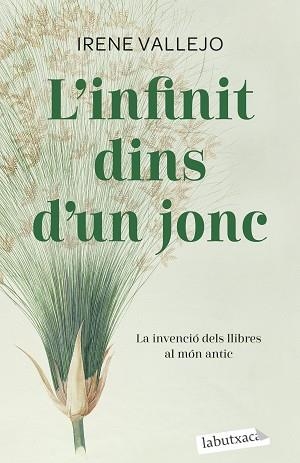 INFINIT DINS D'UN JONC | 9788419107121 | VALLEJO, IRENE