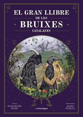 GRAN LLIBRE DE LES BRUIXES CATALANES | 9788418857751 | PRATS, JOAN DE DÉU / PADILLA CLIMENT, MARIA