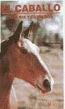 CABALLO, EL. SU CRIA Y CUIDADOS | 9788425507793 | SAUNDERS, RAY