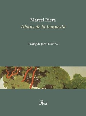 ABANS DE LA TEMPESTA | 9788475889900 | RIERA BOU, MARCEL