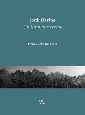 LLUM QUE CREMA UN | 9788475889979 | LLAVINA, JORDI