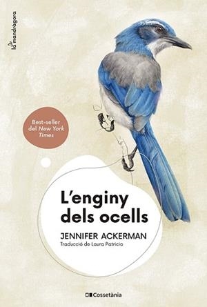 ENGINY DELS OCELLS | 9788413562544 | ACKERMAN, JENNIFER