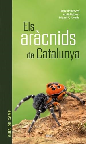 ARÀCNIDS DE CATALUNYA | 9788418096686 | DOMÈNECH ANDREU, MARC / BELLVERT BANTÍ, ADRIÀ / ARNEDO LOMBARTE, MIQUEL ÀNGEL
