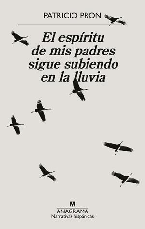 ESPÍRITU DE MIS PADRES SIGUE SUBIENDO EN LA LLUVIA | 9788433926371 | PRON, PATRICIO