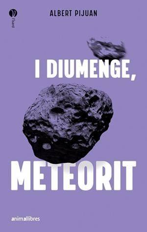 DIUMENGE METEORIT I | 9788419659415 | ALBERT PIJUAN