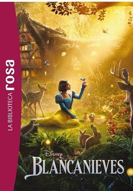 BIBLIOTECA ROSA. BLANCANIEVES | 9788410301726 | RUDNICK, ELIZABETH