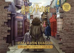 HARRY POTTER: DIAGON ALLEY | 9788448045135 | , AA. VV.