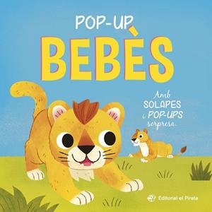 POP-UP BEBÈS - CONTE AMB SOLAPES I POP-UPS SORPRESA! | 9788419912527 | BLAKE, CARLY