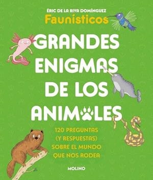GRANDES ENIGMAS DE LOS ANIMALES (COLECCIÓN GRANDES ENIGMAS) | 9788427253698 | DE LA RIVA DOMÍNGUEZ (FAUNÍSTICOS), ÉRIC