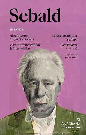 ENSAYOS | 9788433949585 | SEBALD, W.G.
