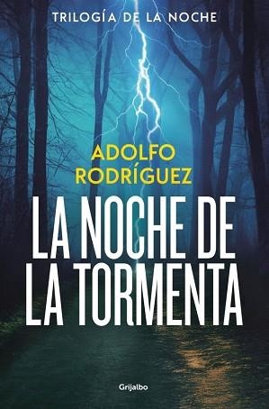 NOCHE DE LA TORMENTA (TRILOGÍA DE LA NOCHE 3) | 9788425374227 | RODRÍGUEZ, ADOLFO