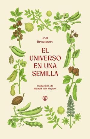 UNIVERSO EN UNA SEMILLA | 9788419990839 | BROEKAERT, JOËL