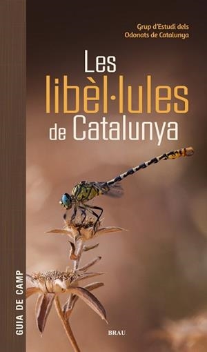 LIBÈL·LULES DE CATALUNYA | 9791387701178 | GRUP D'ESTUDIS DELS ODONATS DE CATALUNYA