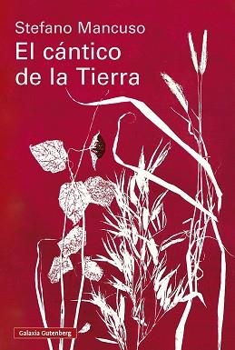 CÁNTICO DE LA TIERRA | 9791388019845 | MANCUSO, STEFANO