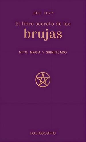 LIBRO SECRETO DE LAS BRUJAS | 9788410380233 | LEVY  JOEL